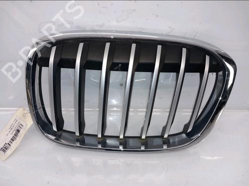 Grill BMW X1 (F48) sDrive 18 d (150 hp) 30843019