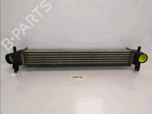 Used Intercooler Intercooler 36252929 36252929