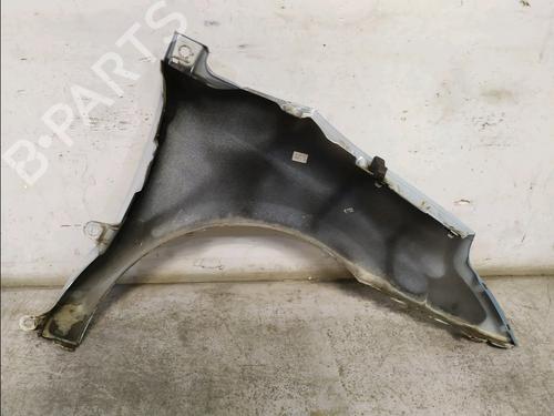 Left front fenders CITROËN C4 I (LC_) 1.6 HDi | BP30418551C41