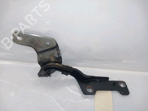 hingedoor-check-strap-renault-clio-iii-br01-cr01-2005-2006-2007-2008-2009-2010-2011-2012-2013-2014-30414057 main image