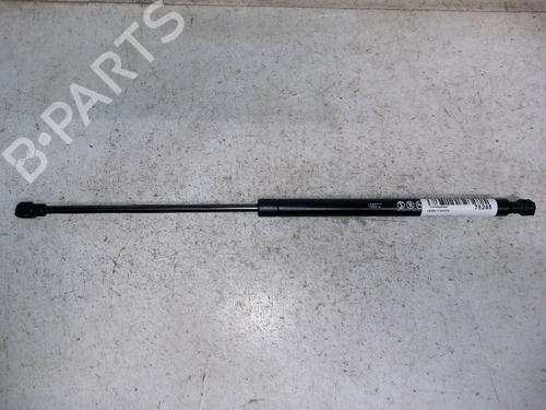 Used Tailgate lift support RENAULT LAGUNA III (BT0/1) 2.0 dCi (BT01, BT08, BT09, BT0E, BT0K, BT12, BT1C, BT1D,... (150 hp) 30425216