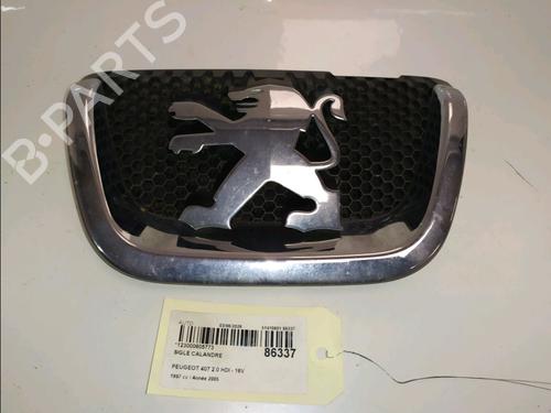 Used Other Other PEUGEOT 407 (6D_) 2.0 HDi 135 (6DRHRH, 6DRHRE, 6DRHRG, 6DRHRJ) (136 hp) 36450205 36450205