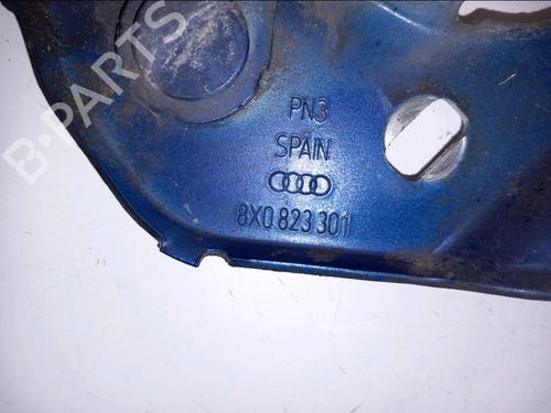 Hinge/Door check strap AUDI A1 (8X1, 8XK) 1.6 TDI | BP30800546C146