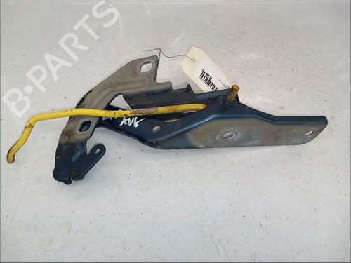 Dørhængsel/Dørbegrænser CITROËN C4 Picasso I MPV (UD_) 1.6 HDi | BP30413729C146