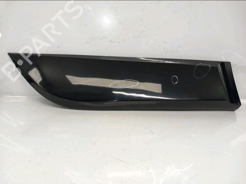 Dørliste RENAULT SCÉNIC III (JZ0/1_) 1.5 dCi (110 hp) 30828473