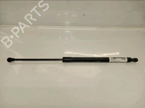 Used Tailgate lift support RENAULT SCÉNIC III (JZ0/1_) 1.6 dCi (JZ00, JZ12) (130 hp) 30430043