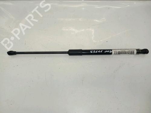 Amortiguador portón/maletero RENAULT MEGANE E-TECH SUV EV60 (BNJ1) (218 hp) 31867993