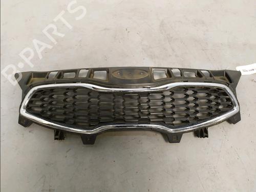 Used Grille Grille 38008460 38008460