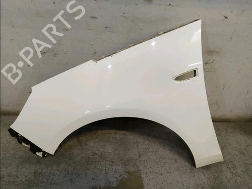 Used Left front fenders OPEL ZAFIRA TOURER C (P12) 2.0 CDTi (75) (130 hp) 31326758