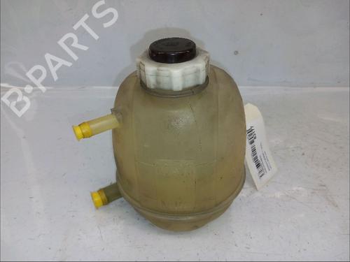 Used Expansion tank RENAULT SCÉNIC I MPV (JA0/1_, FA0_) 1.9 dCi (JA05, JA1F) (102 hp) 30416598