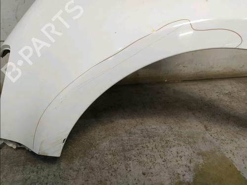 Left front fenders RENAULT CLIO III Grandtour (KR0/1_) 1.5 dCi (KR0F) | BP30530908C41
