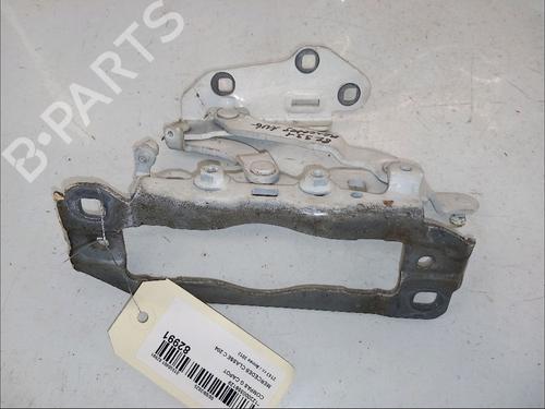 Used Hinge/Door check strap MERCEDES-BENZ C-CLASS (W204) C 200 CDI (204.001) (136 hp) 30432731