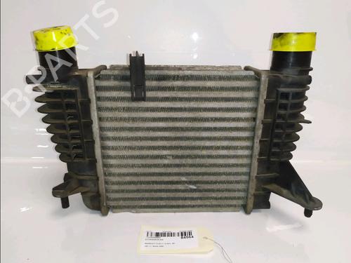 Intercooler Intercooler RENAULT CLIO III (BR0/1, CR0/1) 1.5 dCi (BR17, CR17) (86 hp) 34338010 34338010
