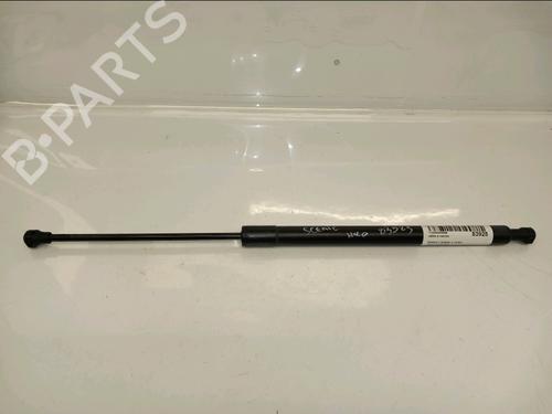 Used Tailgate lift support RENAULT SCÉNIC III (JZ0/1_) 1.6 dCi (JZ00, JZ12) (130 hp) 30430031