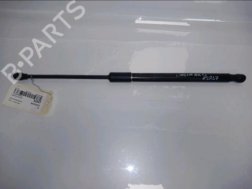 tailgate-lift-support-dacia-sandero-iii-2021-33534282 main image