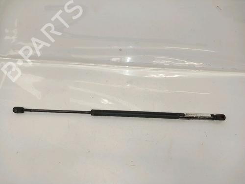 tailgate-lift-support-ford-fiesta-v-jh_-jd_-2001-2002-2003-2004-2005-2006-2007-2008-2009-2010-2011-2012-2013-2014-30428920 main image