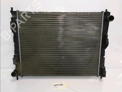 Used Water radiator Water radiator RENAULT TWINGO II (CN0_) 1.2 16V (CN04, CN0B) (75 hp) 33646432 33646432