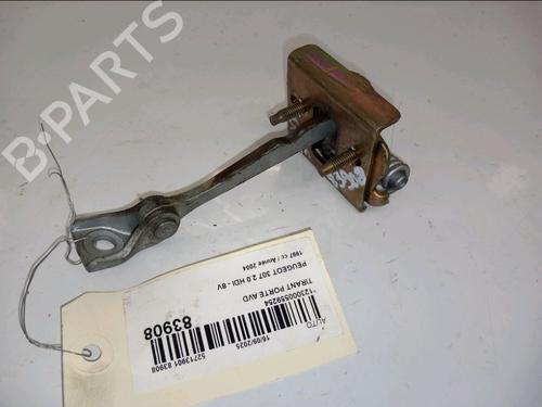 hingedoor-check-strap-peugeot-307-3ac-2000-2001-2002-2003-2004-2005-2006-2007-2008-2009-2010-2011-2012-30416264 main image