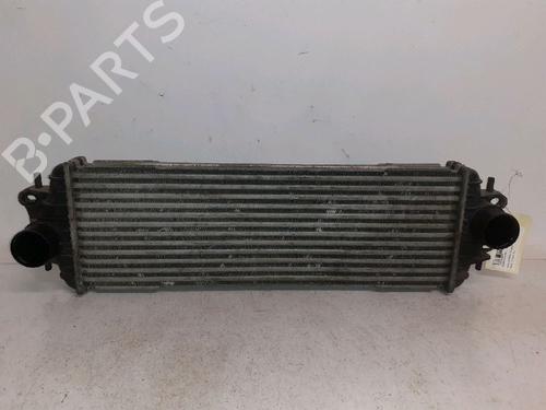 Annen RENAULT TRAFIC II Bus (JL) 1.9 dCI 100 (JL0C, JL0K) (101 hp) 30429376