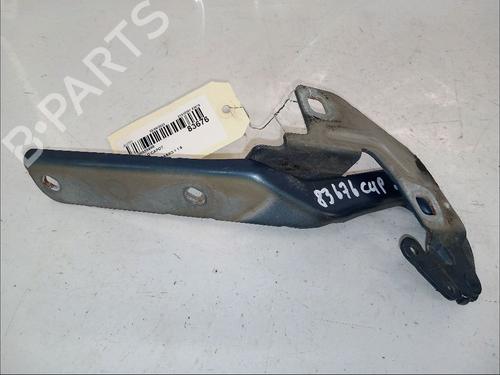 Hinge/Door check strap CITROËN C4 Picasso I MPV (UD_) 1.6 HDi | BP30413731C146