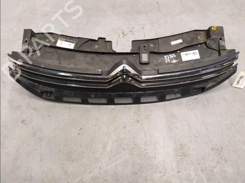 Used Grille Grille CITROËN C3 III (SX) 1.2 VTi 68 (68 hp) 40252538 40252538