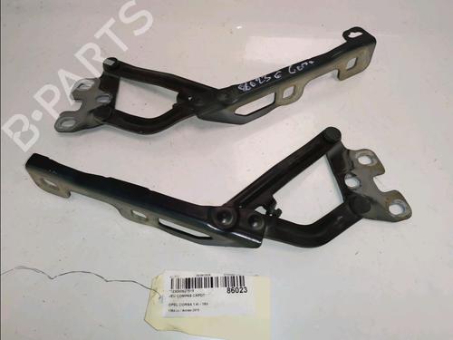 hingedoor-check-strap-opel-corsa-d-s07-2006-2007-2008-2009-2010-2011-2012-2013-2014-2015-39705335 main image