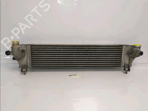 Intercooler Intercooler NISSAN QASHQAI I (J10, NJ10) 1.5 dCi (106 hp) 36592759 36592759