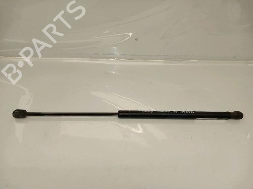 Gassdemper Bakluke RENAULT SCÉNIC II (JM0/1_) 1.9 dCi (JM14) (131 hp) 30424113