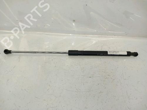 Used Tailgate lift support RENAULT LAGUNA Coupe (DT0/1) 2.0 dCi GT (DT11, DT1E, DT1N) (178 hp) 30427297