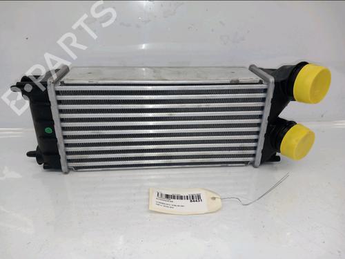 Andere für CITROËN C4 II (NC_) 1.6 BlueHDi 120 (120 hp) 30541691