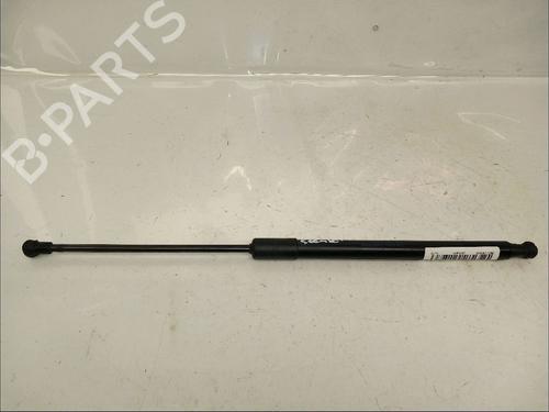 Used Tailgate lift support RENAULT SCÉNIC IV (J9_) 1.3 TCe 140 (140 hp) 30434585