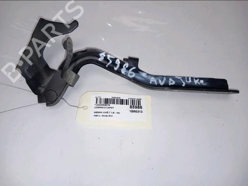 hingedoor-check-strap-nissan-juke-f15-2010-2011-2012-2013-2014-2015-2016-2017-2018-2019-36764133 main image