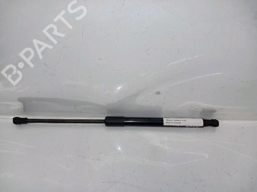 tailgate-lift-support-renault-twingo-ii-cn0_-2007-30427919 main image