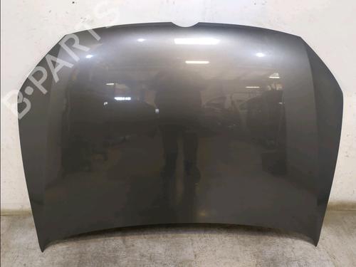 Used Hood VW POLO V (6R1, 6C1) 1.2 (70 hp) 31607782