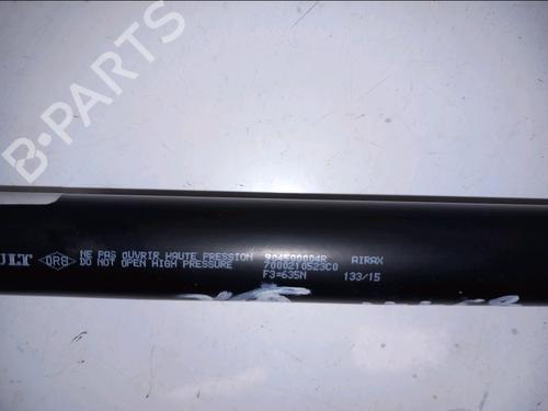 Gassdemper Bakluke RENAULT SCÉNIC III (JZ0/1_) 1.5 dCi | BP30422453C138