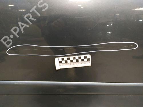 Right front door CITROËN C4 Picasso I MPV (UD_) 2.0 HDi 138 | BP30426442C3