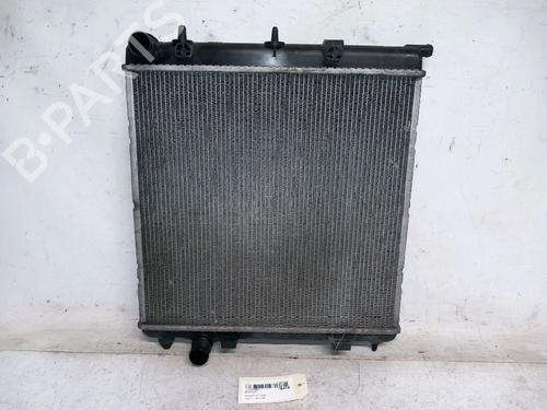 Køler PEUGEOT 207 (WA_, WC_) 1.4 HDi (68 hp) 30423045