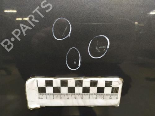 Left rear door KIA VENGA (YN) 1.4 CRDi 90 | BP30423487C4