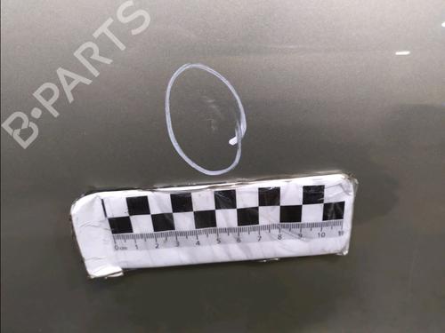 Dør højre bagtil DACIA SANDERO 1.2 16V | BP31326814C5 - Image 2