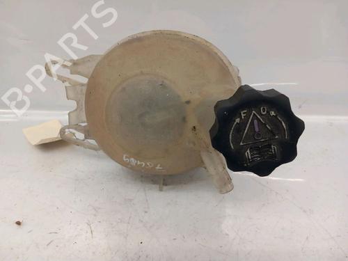Used Expansion tank PEUGEOT 1007 (KM_) 1.6 16V (109 hp) 30422608