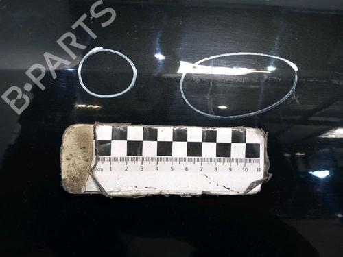 Left front door PEUGEOT 407 Coupe (6C_) 2.2 16V | BP30426775C2 