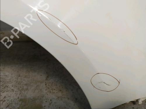 Right front fenders RENAULT CLIO III Grandtour (KR0/1_) 1.5 dCi (KR0F) | BP30524596C42