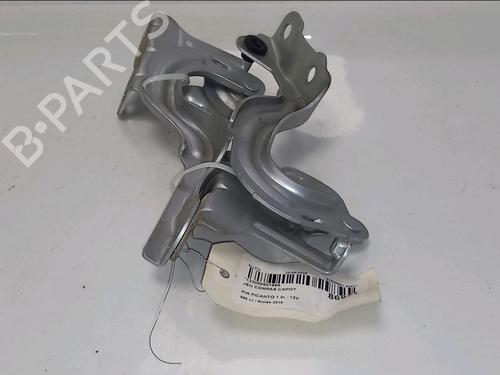 hingedoor-check-strap-kia-picanto-iii-ja-2017-38947958 main image