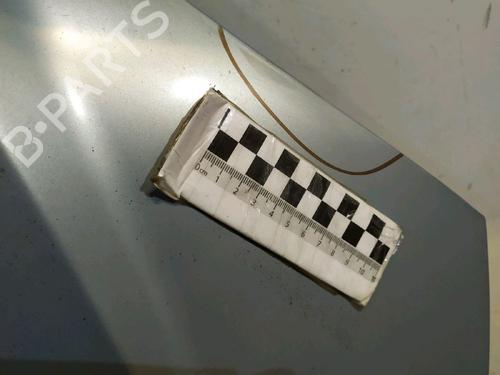 Hood OPEL ASTRA G Hatchback (T98) 1.6 16V (F08, F48) | BP30428173C1