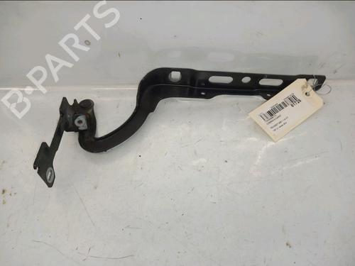 Used Hinge/Door check strap PEUGEOT 208 I (CA_, CC_) 1.4 VTi (95 hp) 32975645