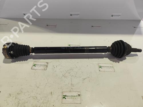 BP31737951M39 main image