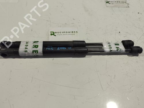 Pansergassdemper PEUGEOT 407 SW (6E_, 6D_) 2.0 HDi (163 hp) 31739048