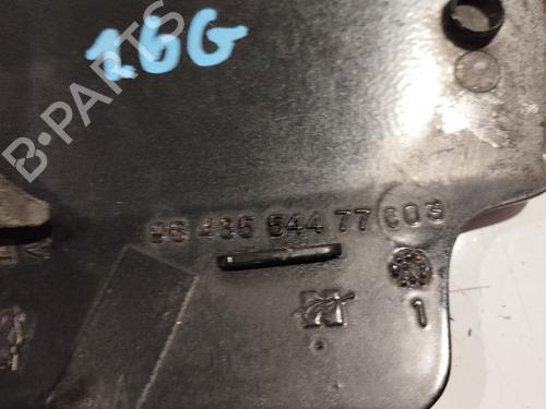 Fuel flap PEUGEOT 307 (3A/C) | BP31739165C131