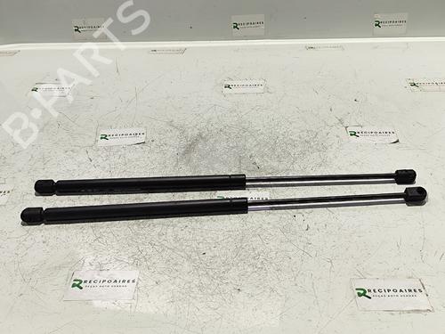 Used Tailgate lift support RENAULT MEGANE II Estate (KM0/1_) 1.5 dCi (KM1F) (86 hp) 31743370