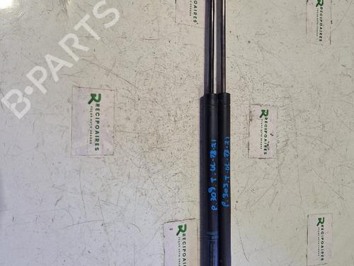 Gasdæmper bagklap PEUGEOT 309 I (10C, 10A) [1985-1989]  31733324